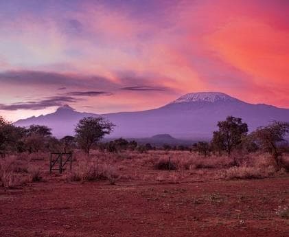Day 1: Nairobi to Amboseli National Park photo 2