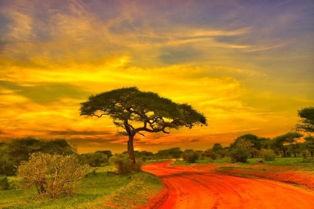 Day 4: Maasai Mara – Wildlife & Authentic Maasai Culture photo 1