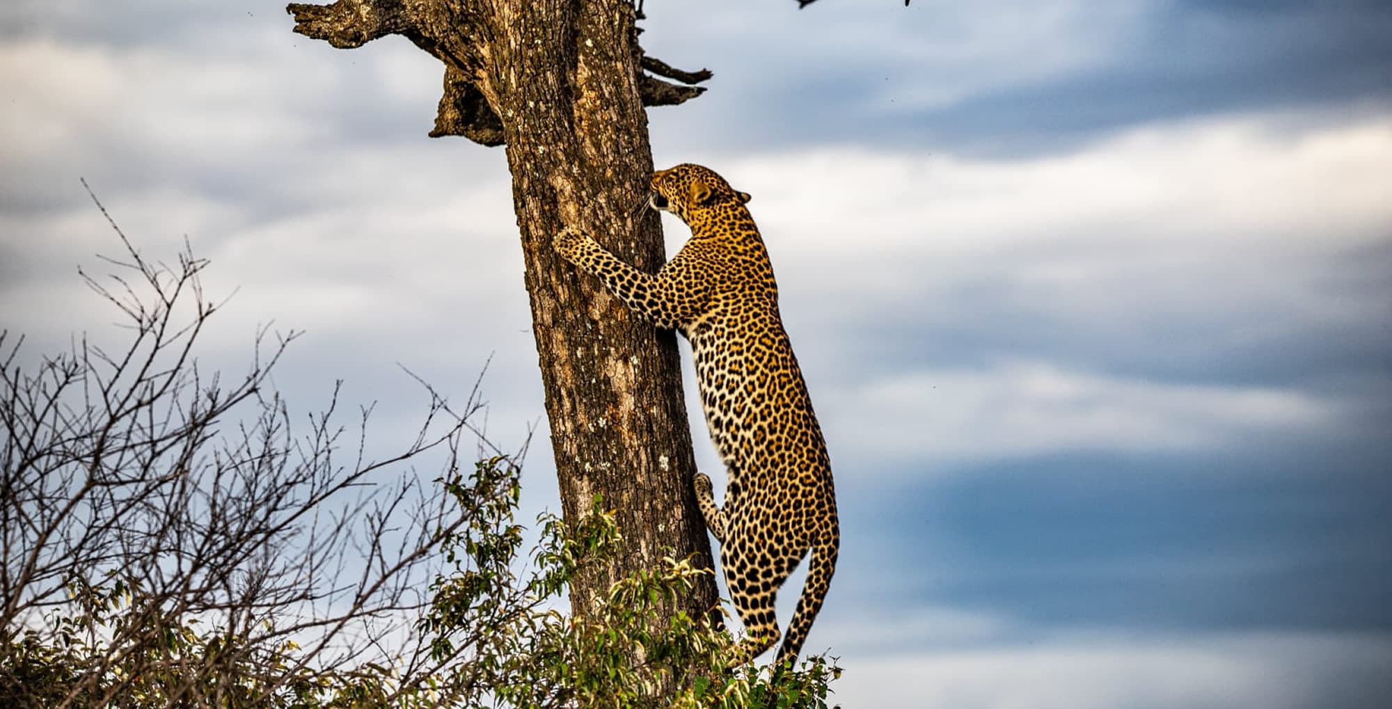 Day 5: Maasai Mara to Nairobi (Departure) photo 1