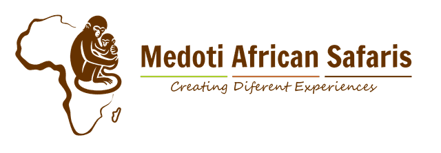 Medoti Safaris Logo