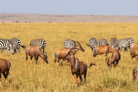 Day 4: Lake Naivasha to Lake Nakuru National Park photo 2